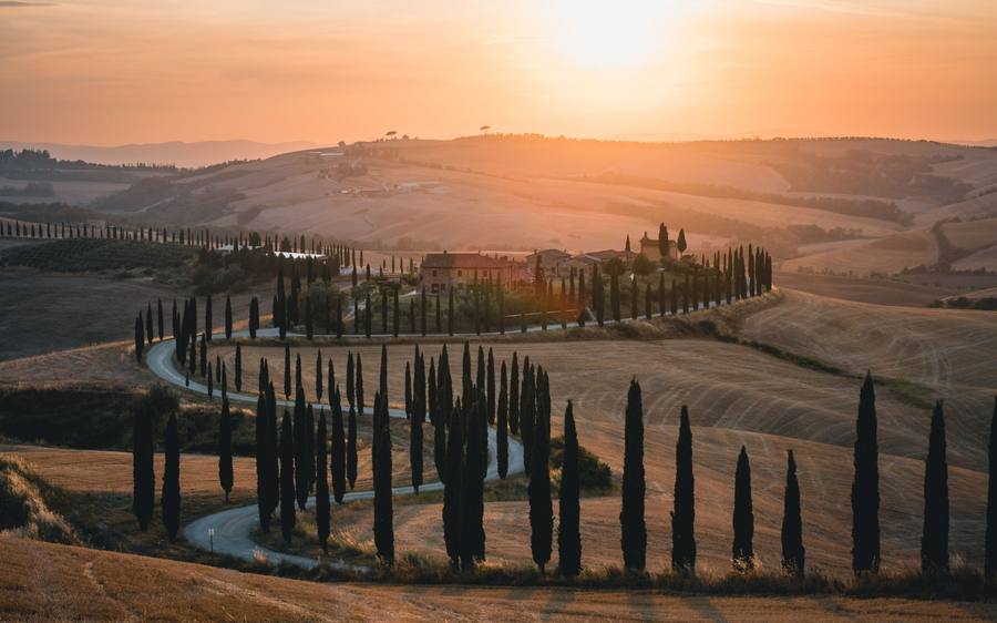 Chianti: cypress-lined roads and rolling fields at sunset.