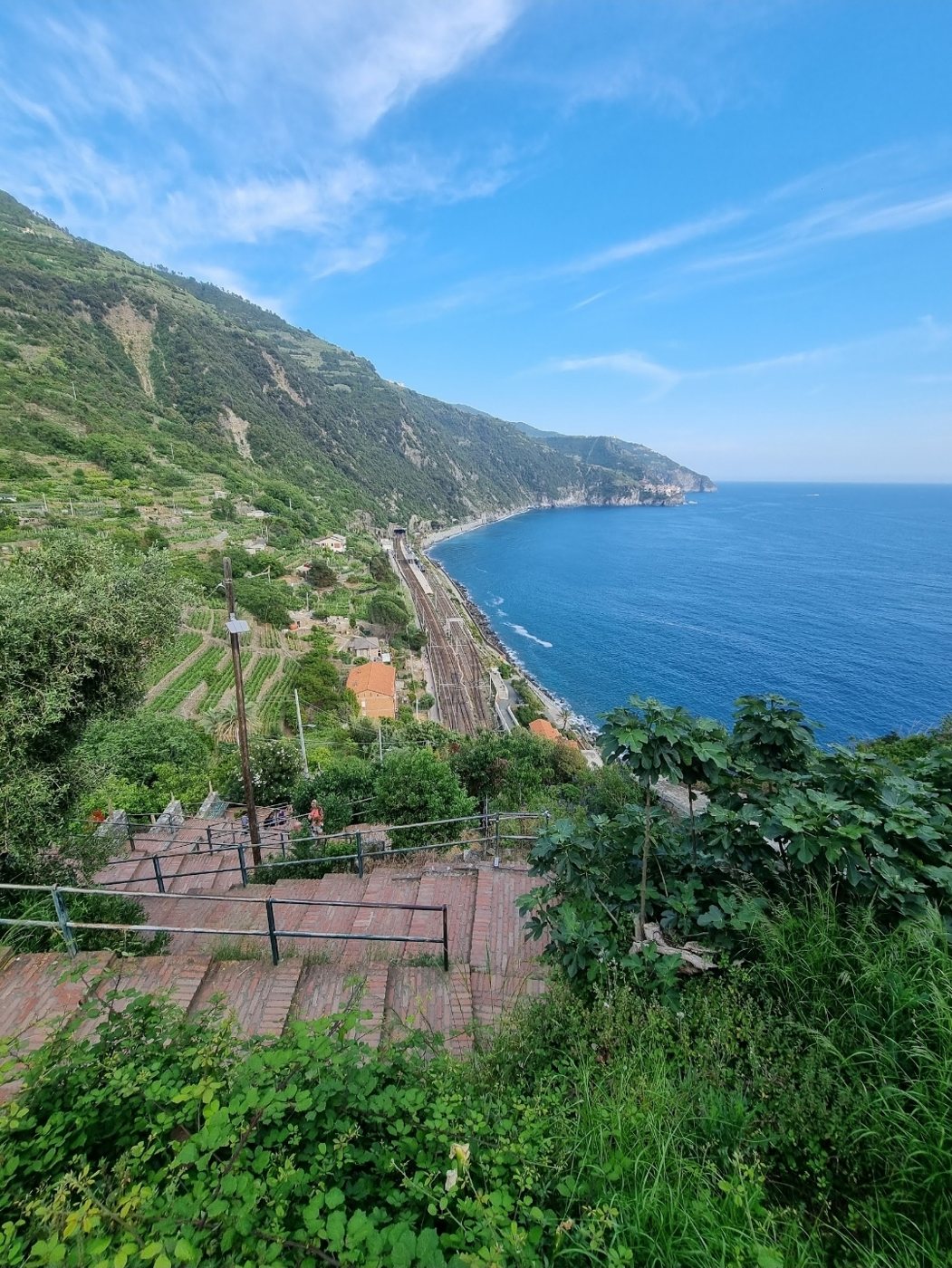 The Corniglia stairs down to the station, with the railway and coast behind