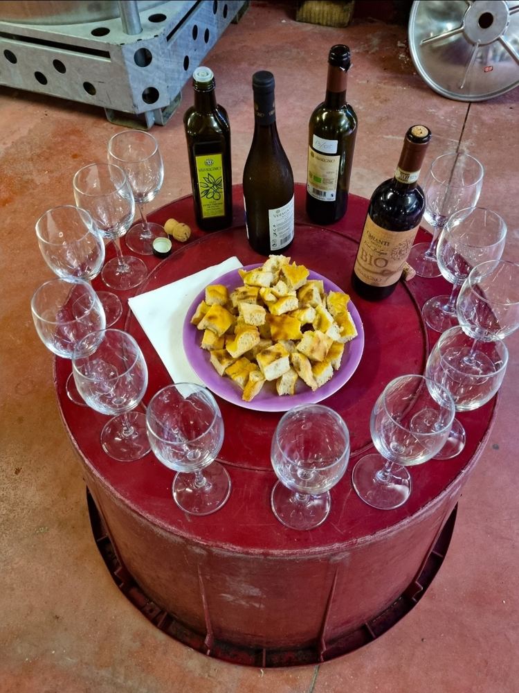 A wine tasting at the estate
